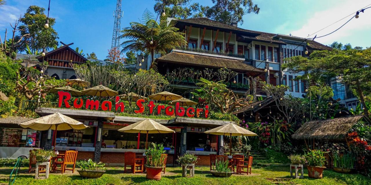 Rumah Stroberi Organic Farm & Family Lodge Lembang Exterior photo