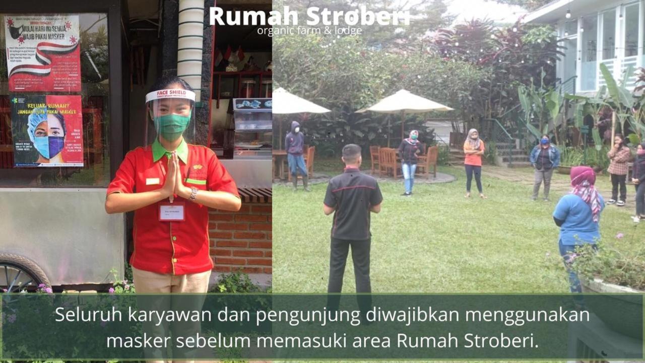 Rumah Stroberi Organic Farm & Family Lodge Lembang Exterior photo